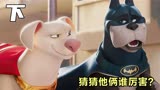 拥有超能力的宠物，拯救了正义联盟的英雄，科幻动画片