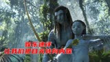 娱乐速评：《阿凡达2》不适应中国观众？向太直播为何惹争议？