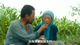 《隐入尘烟》：一个农民的演技吊打整个内娱，今年最好的国产片！