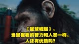 《猩球崛起》，当黑猩猩的智力和人类一样，人还有优势吗？