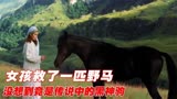 女孩救下一匹小野马，后来才知道它就是传说中的黑神驹！催泪电影