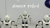 跳舞机器人show time！