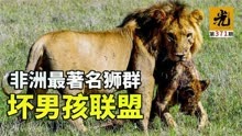 1年杀死100多头狮子，暴力统治着整个保护区，最终却难逃被杀命运