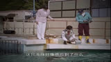 22. 迪迦：丽娜男朋友亮相，模样性格一等一的好，可惜不会说话