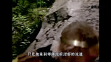 经典86版《西游记》六小龄童主演孙悟空解说版，_057