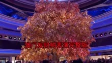 澳门永利酒店5分钟发财树表演完整版，据说值二十亿，见者发财！