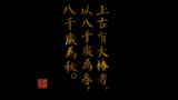 湫为什么成了灵婆的接班人