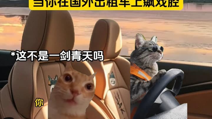 当你在国外出租车上飙戏腔(2025) Full online with English