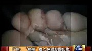 “裸模”揭人体摄影圈乱象娱乐完整版视频在线观看爱奇艺