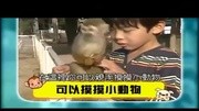 天才猩猩带狗狗给动物拍照娱乐完整版视频在线观看爱奇艺