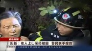 老人上山采药被困 警民联手搜救资讯高清正版视频在线观看–爱奇艺