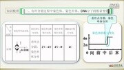 11有丝分裂过程中各种数量的变化曲线标清.flv原创完整版视频在线观看爱奇艺