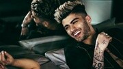 美渣Zayn裸身登封面 落腮胡配纹身超帅娱乐完整版视频在线观看爱奇艺