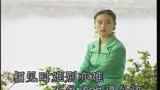 杨钰莹-情叹KTV（电视剧《武则天》主题曲）