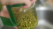 如何发绿豆芽 how to sprout mung beans生活完整版视频在线观看爱奇艺