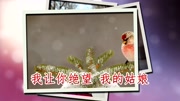 刀郎《花瓣下的种子》好听极了!音乐背景音乐视频音乐爱奇艺