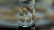 虾饺的家常做法,好吃生活完整版视频在线观看爱奇艺