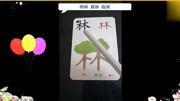 一起学汉字:“林”!字图结合,简单易懂!一分钟就学会哦!母婴完整版视频在线观看爱奇艺