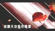 一首姜玉阳的《 爱轮回》超级好听,单曲循环音乐背景音乐视频音乐爱奇艺