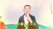 《想你想到心里头》音乐背景音乐视频音乐爱奇艺