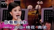 在中国大地上 (雷佳  伴奏曲)音乐背景音乐视频音乐爱奇艺