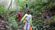 美女们为了找米椎子野板栗 翻山越岭跋涉原始森林 还吃到了野果生活完整版视频在线观看爱奇艺