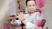 经典情歌《醉相思》笛子演奏版 好听极了音乐背景音乐视频音乐爱奇艺