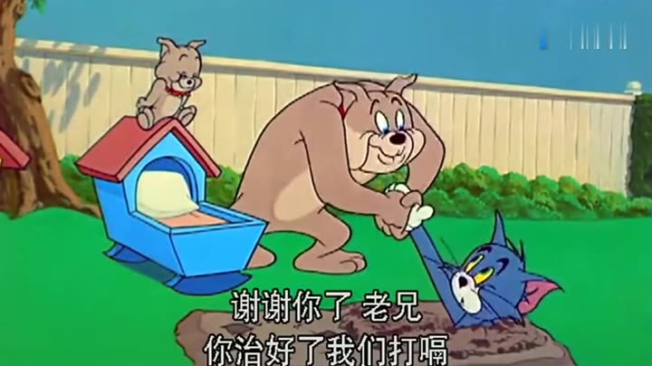 敖犬