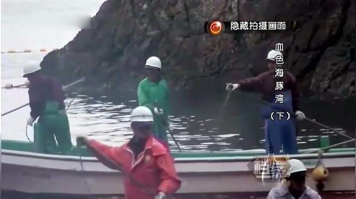 胆小且卑微的恒
