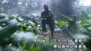 武装特警第1集电视剧高清正版视频在线观看–爱奇艺