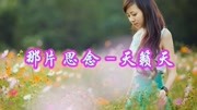 天籁天深情演唱网络情歌《那片思念》好听醉人音乐背景音乐视频音乐爱奇艺