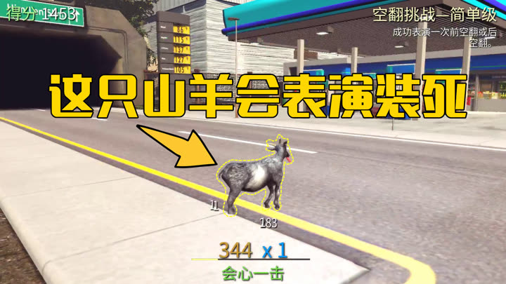 河马哥解说