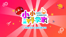 八桂小小科学家