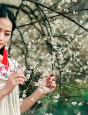 红蔷薇的歌曲曲谱_红蔷薇白玫瑰歌曲配图(3)