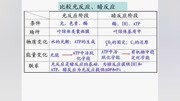 高中生物微课大赛获奖视频《光合作用的过程》微课视频下载知识名师课堂爱奇艺