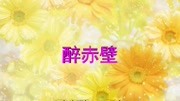 璟年《醉赤壁》歌声优美宛如天籁之音,好听到爆.音乐高清MV在线观看–爱奇艺