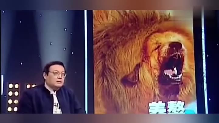 老梁观世界