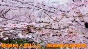 经典一曲《小白》唱哭了没在一起的人,相思欲绝音乐背景音乐视频音乐爱奇艺