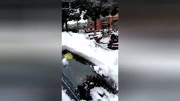 无锡下大雪纪录片完整版视频在线观看爱奇艺