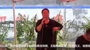 民间大姐演唱豫剧《情断状元楼》,人心难测天心晦,真专业!音乐背景音乐视频音乐爱奇艺