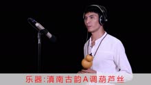 葫芦丝歌曲涛声依旧曲谱