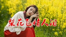 歌曲谱梨花飞情人泪_梨花飞情人泪歌曲图片(4)