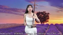 谁懂女人花二胡曲谱_谁懂女人花简谱