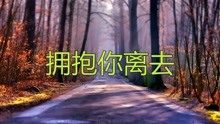 《拥抱你离去》简谱_拥抱你离去简谱(3)