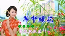 军中绿花的曲谱_军中绿花二胡曲谱(3)