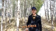 神曲改编《小苹果》吐槽双十一,理性消费音乐背景音乐视频音乐爱奇艺