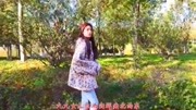 精品好歌《九九女儿红》此曲风风韵韵,好听感人音乐背景音乐视频音乐爱奇艺