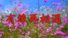 鲜花爱雨露简谱_鲜花爱雨露歌曲简谱(2)