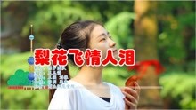 歌曲谱梨花飞情人泪_梨花飞情人泪歌曲图片(2)