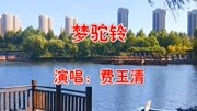 费玉清一首《梦驼铃》经典金曲,好听极了,唱不尽的思念!音乐背景音乐视频音乐爱奇艺